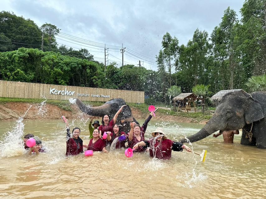 Phuket: Elephant Experience with Lunch or Dinner and Pickup - Should you book this Phuket elephant experience?
