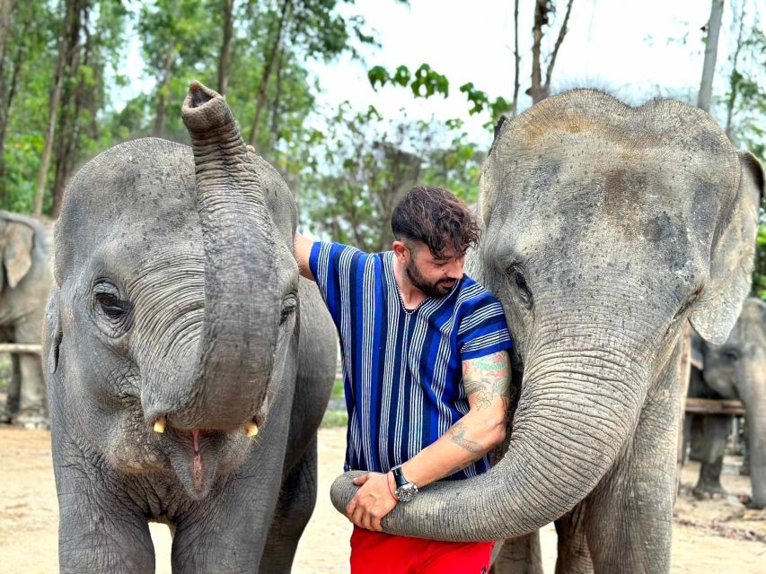 Phuket: Elephant Experience with Lunch or Dinner and Pickup - Entering Kerchor: the drive, the welcome, and what you do first