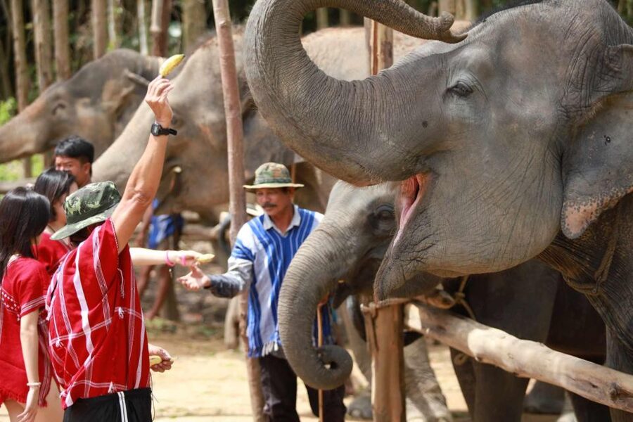 Phuket: Elephant Experience with Lunch or Dinner and Pickup - Tie-dye and tribal shirts: making a souvenir that has a real lesson