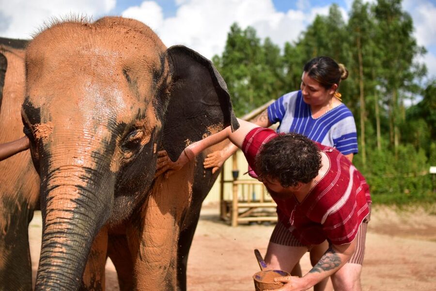Phuket: Elephant Experience with Lunch or Dinner and Pickup - Mud spa and natural bathing: the part you plan for, not the part you hope for