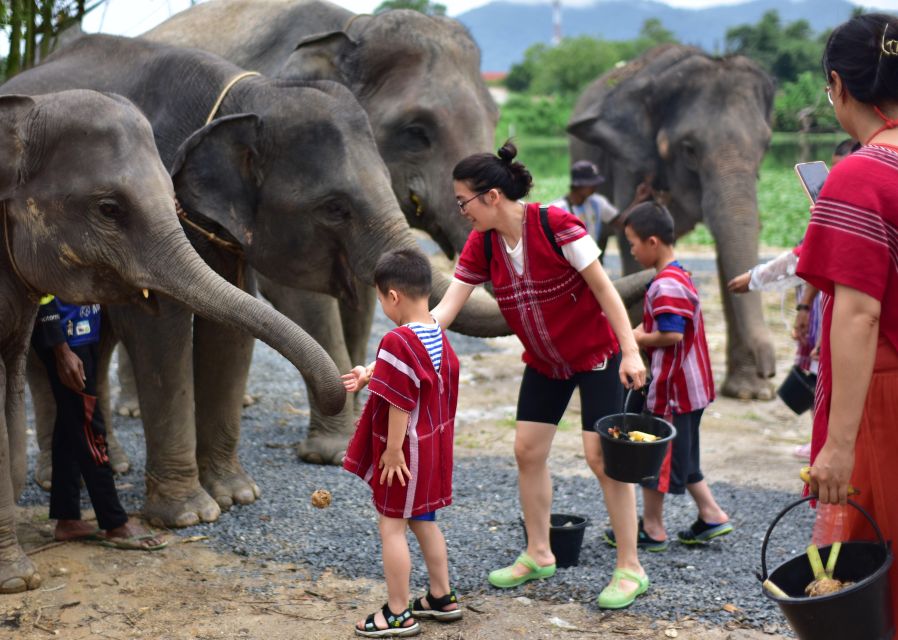 Phuket: Elephant Experience with Lunch or Dinner and Pickup - Who should book this elephant day in Phuket, and who should think twice
