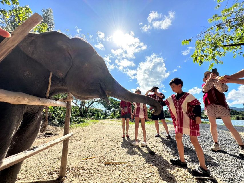 Phuket: Elephant Experience with Lunch or Dinner and Pickup - Elephant encounters with Karen culture: your first briefing at 9:00 or 14:30