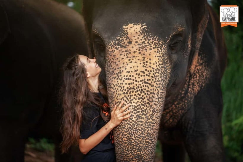 Phuket: Elephant Jungle Sanctuary Ethical Feeding Experience - Your Guide’s Role: Learning Elephant Behavior, Not Just Taking Pictures