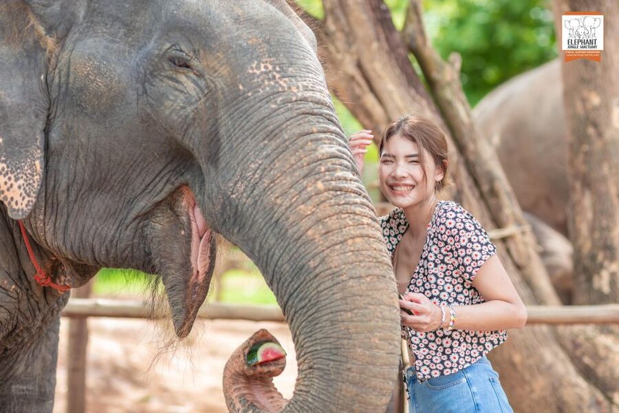 Phuket: Elephant Jungle Sanctuary Ethical Feeding Experience - Meeting at Elephant Jungle Cafe: Quick Start, Clear Expectations