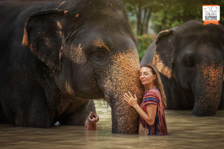 Phuket: Elephant Jungle Sanctuary Half-Day Visit with Meal - Phuket Elephant Jungle Sanctuary: A Short Visit That Still Feels Full