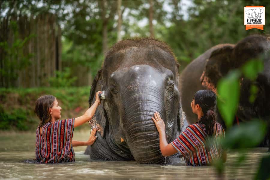 Phuket: Elephant Jungle Sanctuary Half-Day Visit with Meal - Should You Book Elephant Jungle Sanctuary in Phuket?