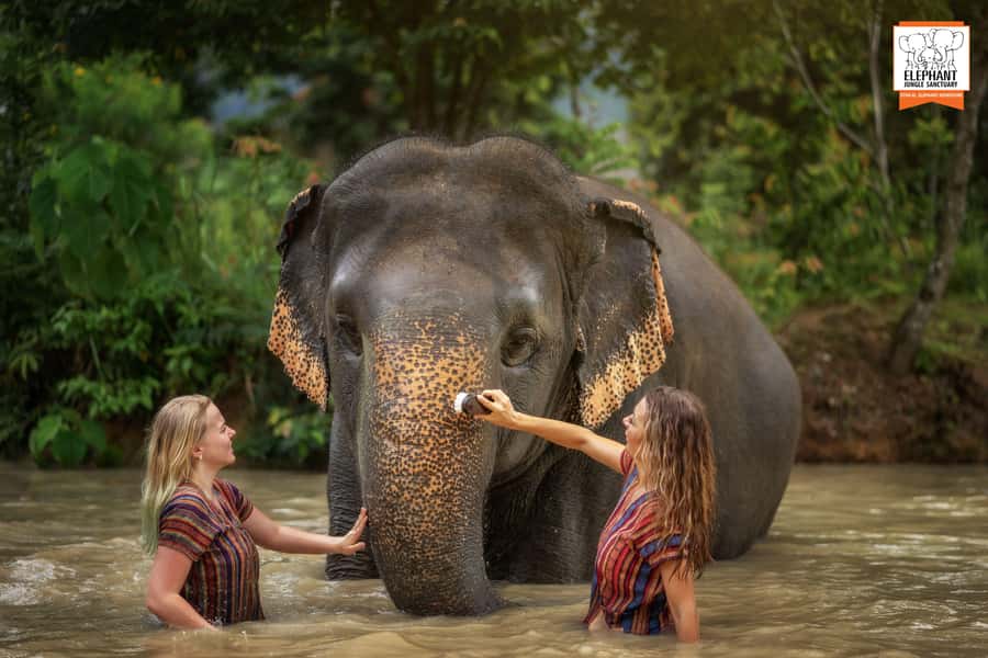 Phuket: Elephant Jungle Sanctuary Half-Day Visit with Meal - Pickup, Timing, and What to Pack for Getting Wet and Muddy