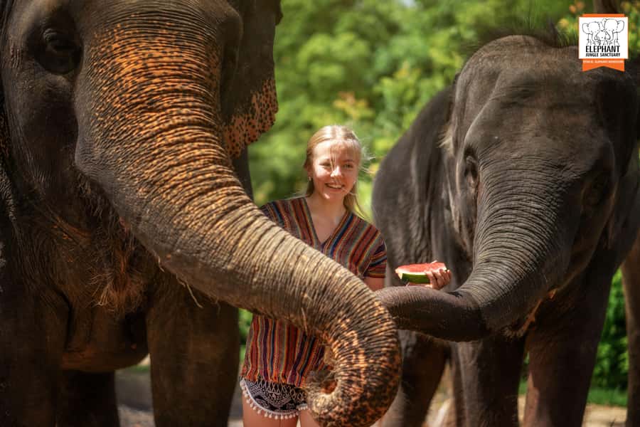 Phuket: Elephant Jungle Sanctuary Half-Day Visit with Meal - The Mud Spa: Where the Experience Gets Physical