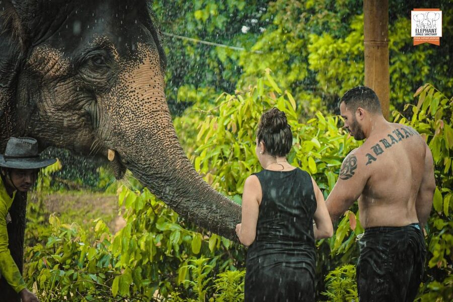 Phuket: Elephant Jungle Sanctuary Half-Day Visit with Meal - Pool Time: Swim, Brush, and Rinse Off the Elephants
