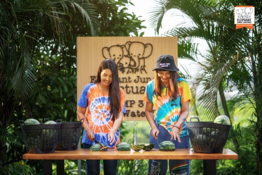 Phuket: Elephant Jungle Sanctuary 'Watch Me' Experience - Key things to notice before you go