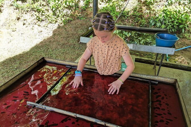 Phuket Elephant Nature Reserve Ethical Sanctuary - Your first stop: Thai cooking class demo and a real lunch