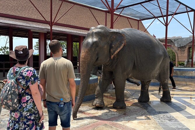 Phuket: Elephant Nature Walk - Guided Tour with Transport - Walking with the herd to the mud spa: the part you need to prepare for