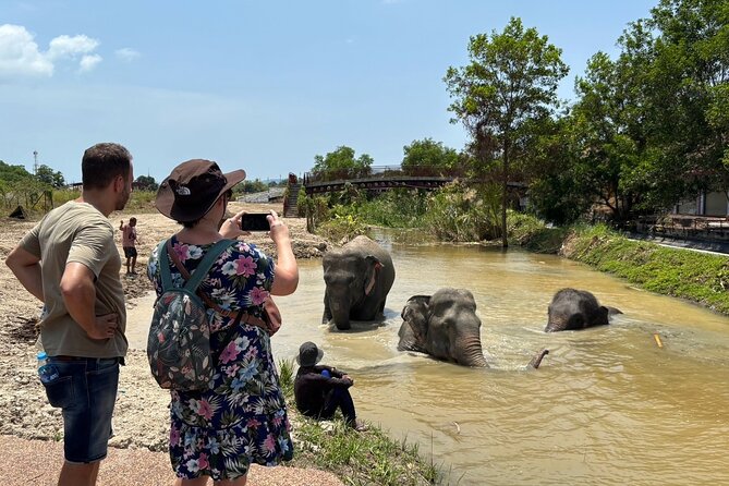 Phuket: Elephant Nature Walk - Guided Tour with Transport - Who this tour fits best (and who should think twice)