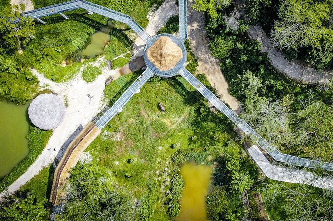 Phuket: Elephant Sanctuary Canopy Walkway Tour - Fruit Basket Feeding: A Time-Limited Bonus Until 31 March 2026