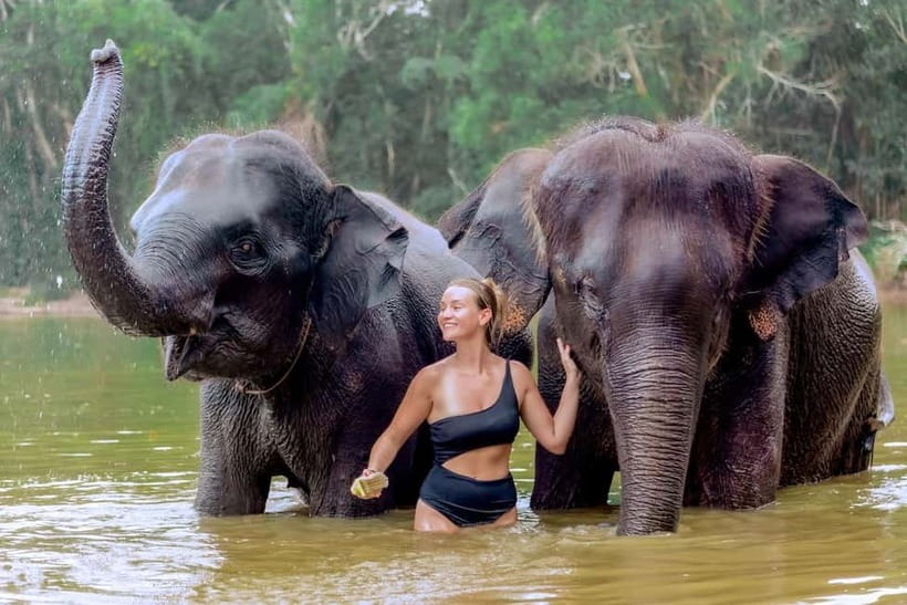 Phuket: Elephant Sanctuary Feed and Bathe Gentle Giants - Quick Hits: What Makes This Tour Worth Your Time