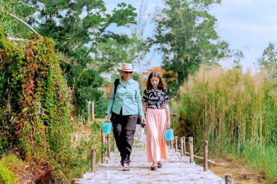 Phuket: Elephant Sanctuary Feed and Bathe Gentle Giants - Price and Logistics: Is $56 Good Value?