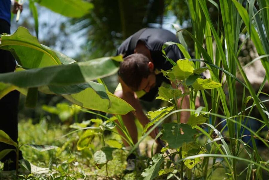 Phuket: Elephant Sanctuary Guided Tour with Hotel Transfers - Meeting Retired and Rescued Elephants Up Close