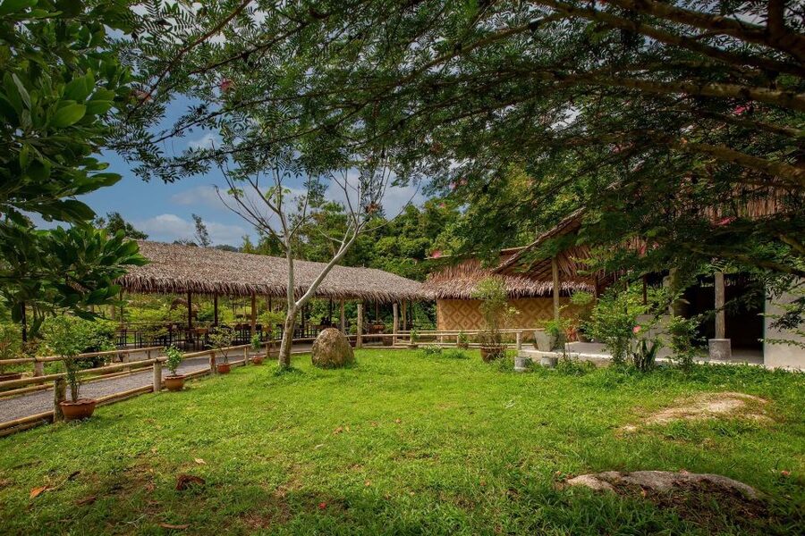 Phuket: Elephant Sanctuary Guided Tour with Hotel Transfers - Timing, Heat, and Comfort Tips That Save Your Day