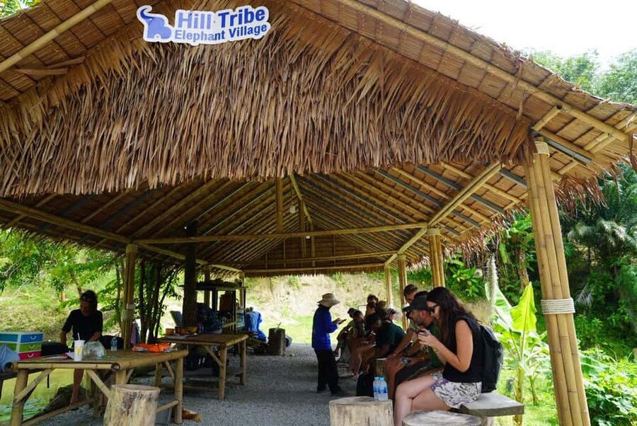 Phuket: Elephant Sanctuary Guided Tour with Hotel Transfers - Hotel Transfers From Patong, Kata, Karon, and Beyond