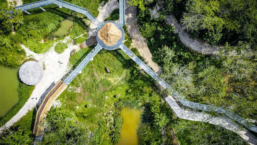 Phuket Elephant Sanctuary: Half-Day with Vegetarian Meal - How Long Is Enough? Your 210 Minutes Plan