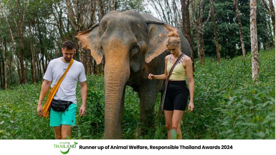 Phuket: Elephant Sanctuary Tour, Cooking Class & Lunch - Khao Lak Elephant Sanctuary: what the ethical approach really feels like