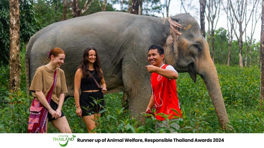 Phuket: Elephant Sanctuary Tour, Cooking Class & Lunch - Getting there from Phuket: the payoff of the long van ride