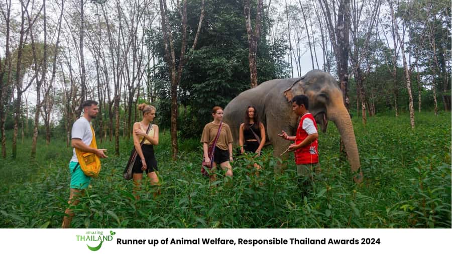 Phuket: Elephant Sanctuary Tour, Cooking Class & Lunch - Elephant water time: watching bathing rituals without pushing boundaries