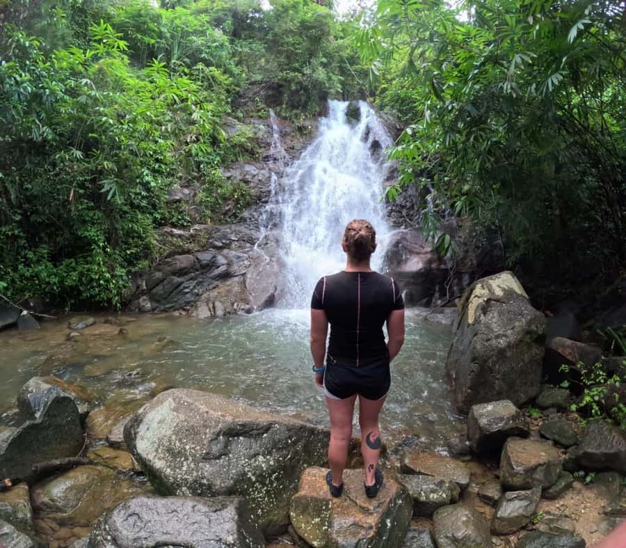 Phuket: Elephant Sanctuary Tour, Cooking Class & Lunch - Thai lunch and the 1-dish cooking class at 77 Soi Nam Tok Sai Rung