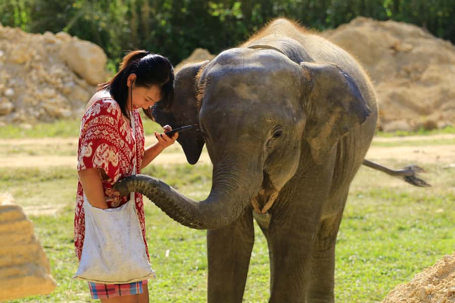 Phuket: Elephant Save & Care Program Tour - Private vs Shared Group: Choose Based on Your Comfort Level
