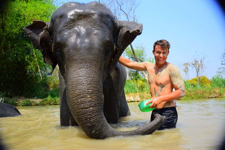 Phuket: Elephant Save & Care Program Tour - First Stop in the Sanctuary: Orientation and Elephant Care Basics
