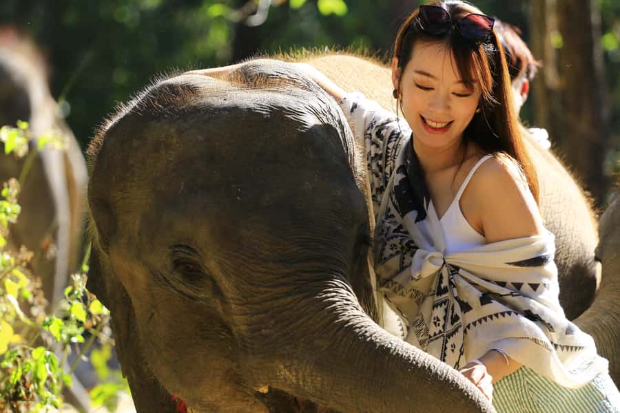 Phuket: Elephant Save & Care Program Tour - Herb Mix Mud Spa: Scrubbing, Skin Care, and What the Program Claims