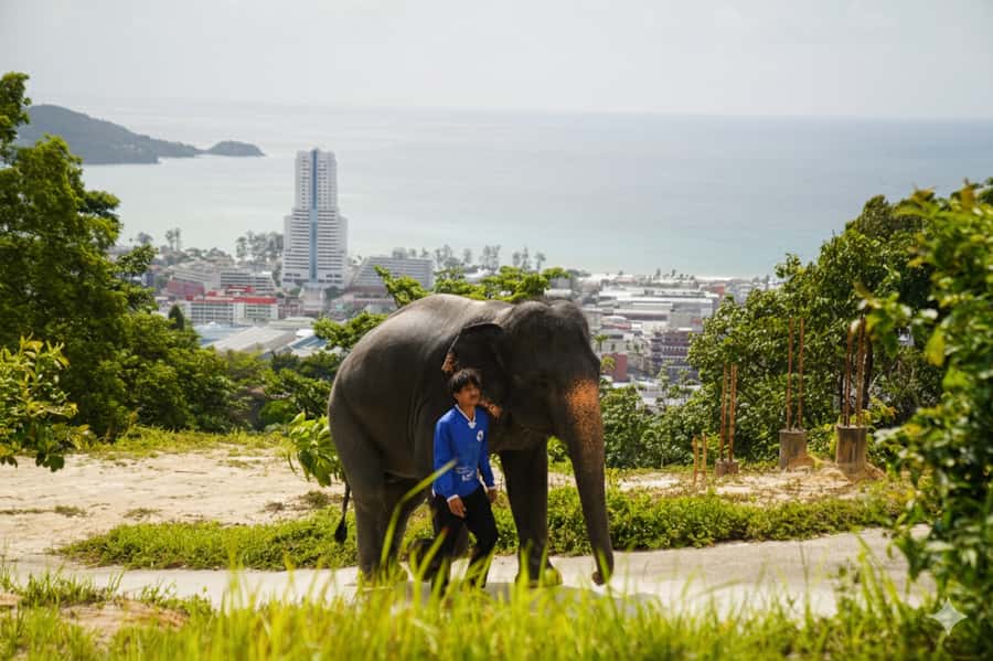 Phuket: Ethical Elephant Sanctuary Experience - Key Things That Make This Elephant Sanctuary Experience Worth Your Time