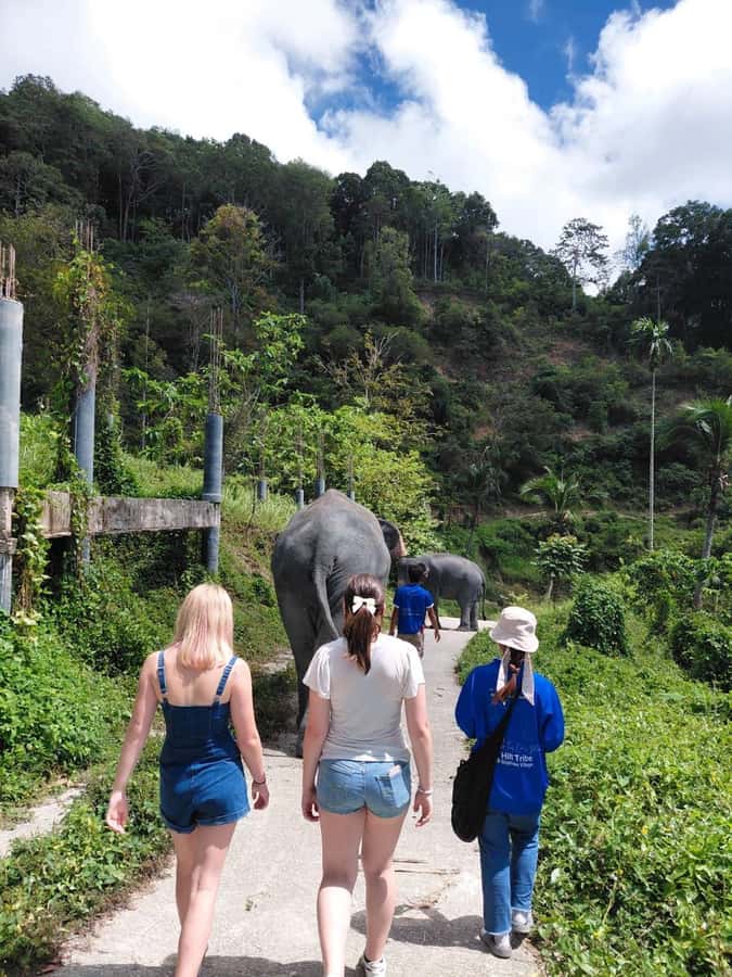 Phuket: Ethical Elephant Sanctuary Experience - Rock Pool Bathing: The Moment You’ll Remember Most