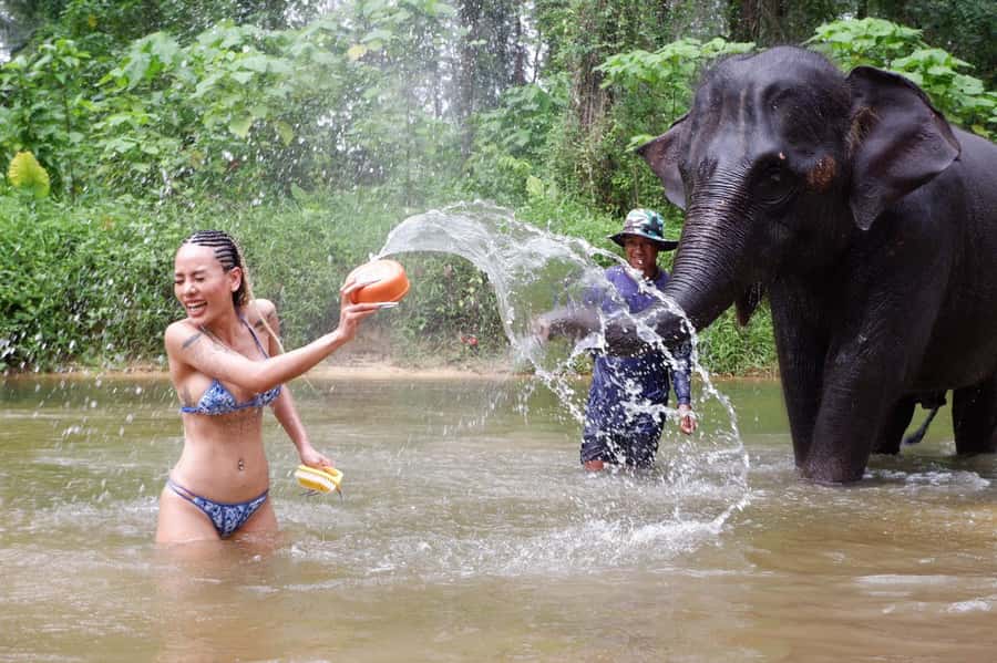 Phuket Ethical Nature Adventure: Rafting, Turtles & Elephant - Sea Turtle Conservation Center: Conservation Stories You Can Feel