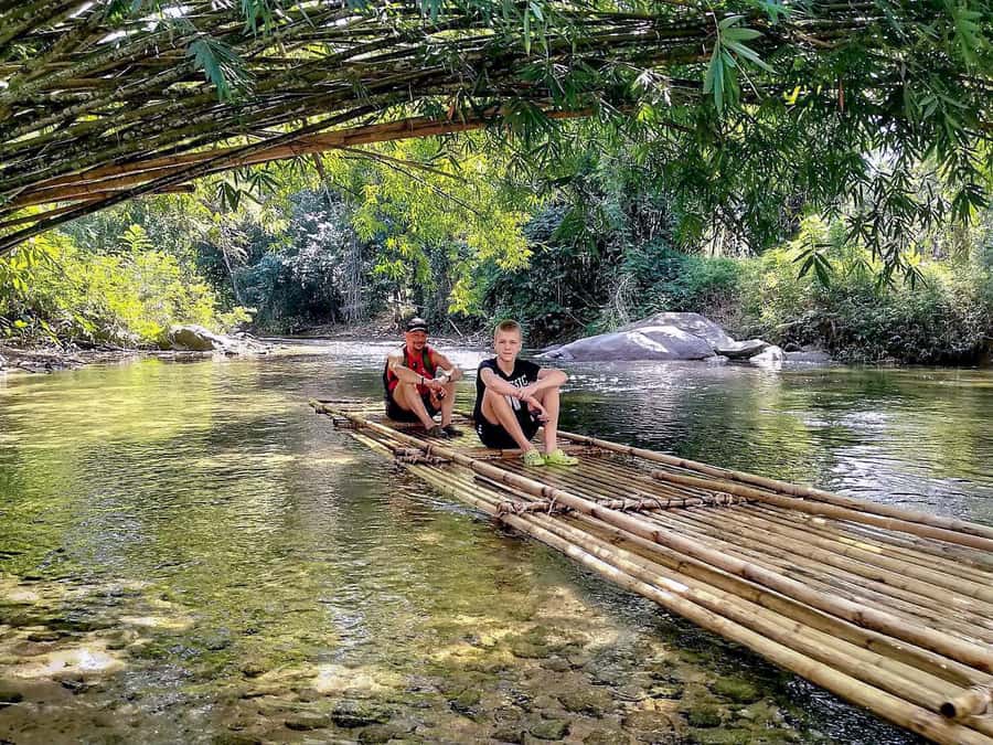 Phuket Ethical Nature Adventure: Rafting, Turtles & Elephant - Khaolak Elephant Conservation: Ethical, Elephant-Led, and Close (Without Contact)