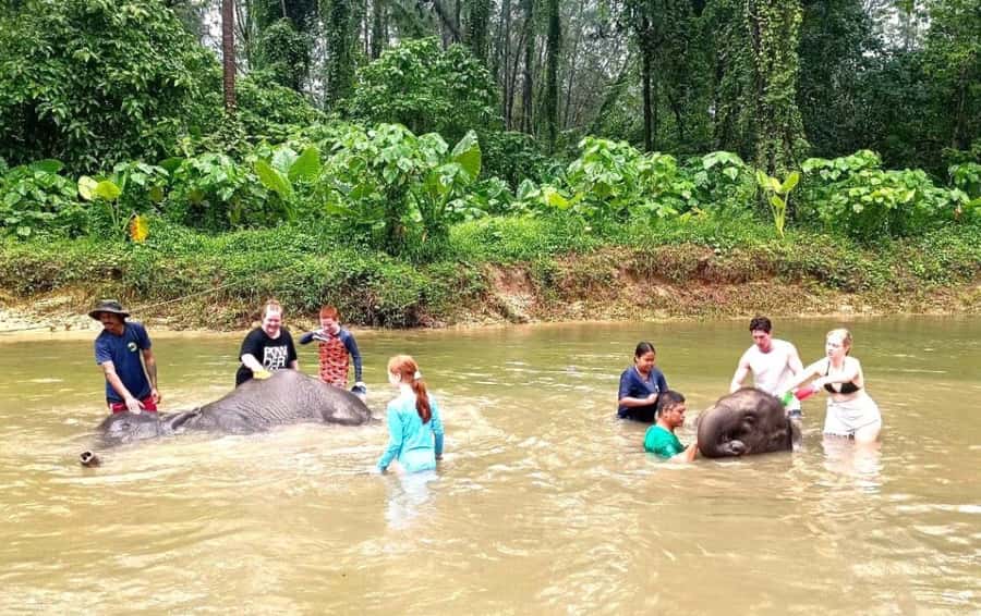 Phuket Ethical Nature Adventure: Rafting, Turtles & Elephant - Ya Dom Thai Herbal Inhaler Workshop: A Souvenir With Actual Use