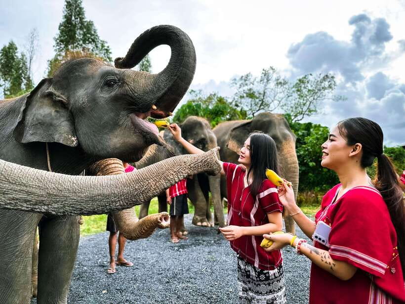 Phuket : Experience feeding and bathing elephants 1.5 Hrs. - Key moments you’ll remember