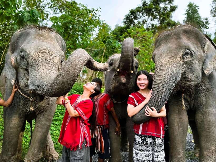 Phuket : Experience feeding and bathing elephants 1.5 Hrs. - Phuket elephant feeding and bathing: timing that fits real vacation days