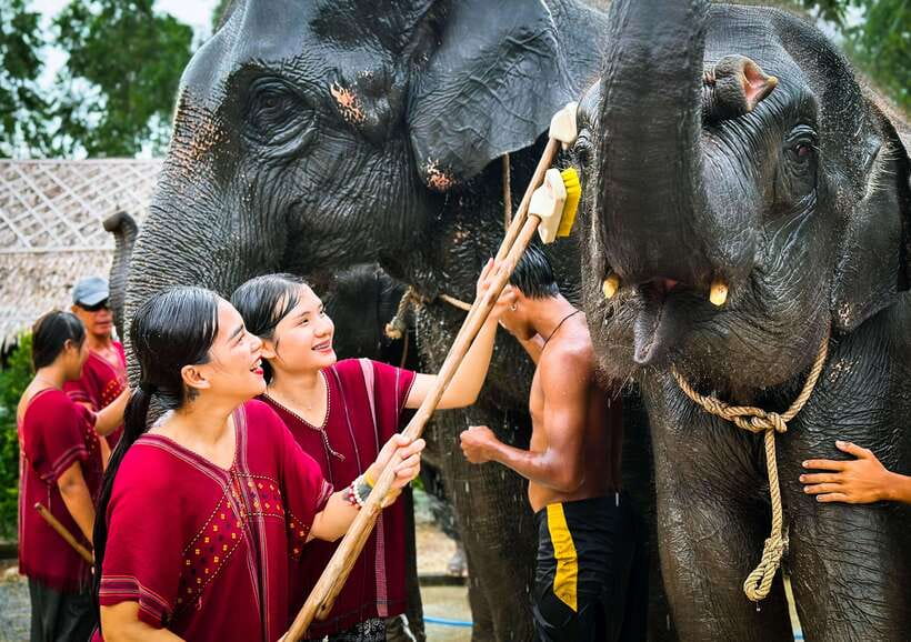 Phuket : Experience feeding and bathing elephants 1.5 Hrs. - Karen culture and herbal tea: the learning chunk you shouldn’t skip