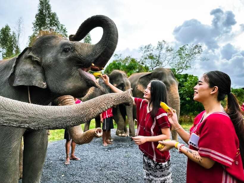 Phuket : Experience feeding and bathing elephants 1.5 Hrs. - Bathing, water play, and the water fight moment