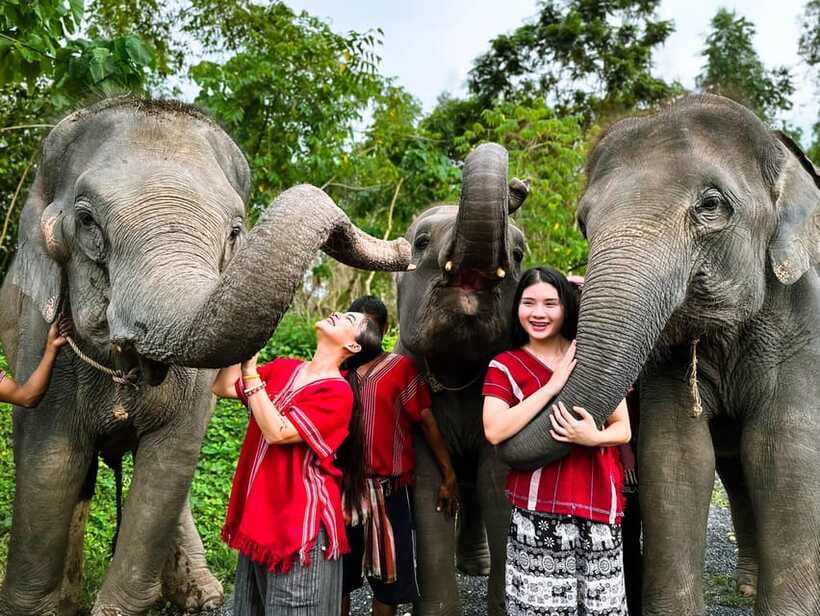 Phuket : Experience feeding and bathing elephants 1.5 Hrs. - Price and value: is $48 worth it in Phuket?