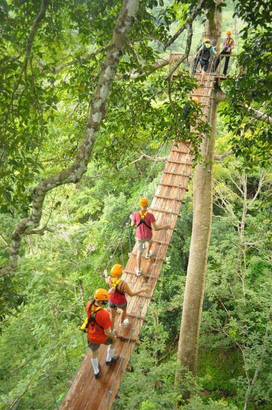 Phuket: Flying Hanuman Zipline Adventure - On the Ground: What Each Stop Feels Like