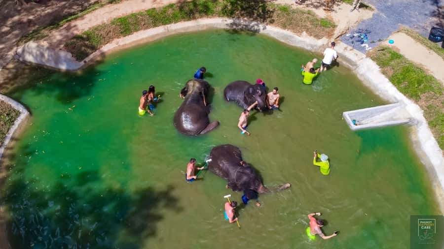 Phuket: Full-Day Elephant Explorer at Phuket Elephant Care - Key highlights worth your attention