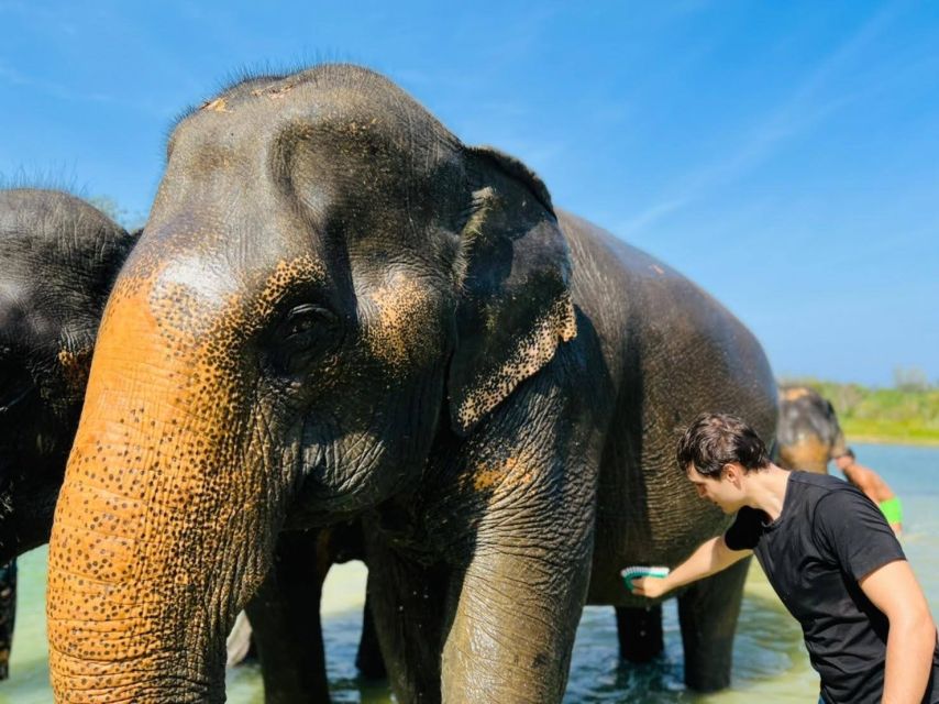 Phuket: Full-Day Elephant Explorer at Phuket Elephant Care - Camp activities: preparing food and learning each elephant