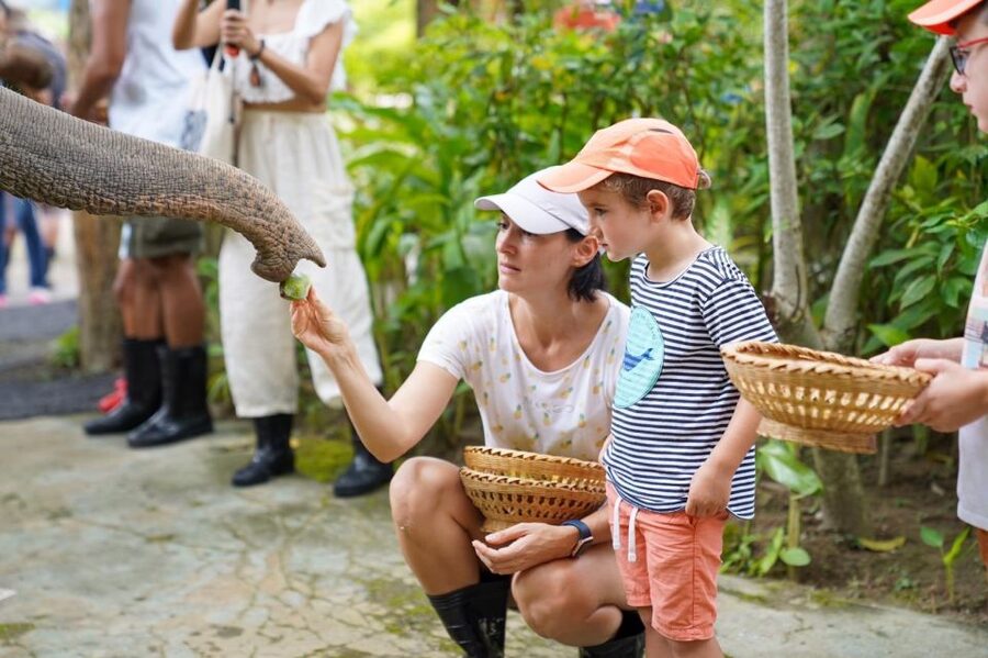 Phuket: Guided Tour to Elephant Sanctuary & Hotel Transfer - Should you book this Phuket elephant sanctuary tour?