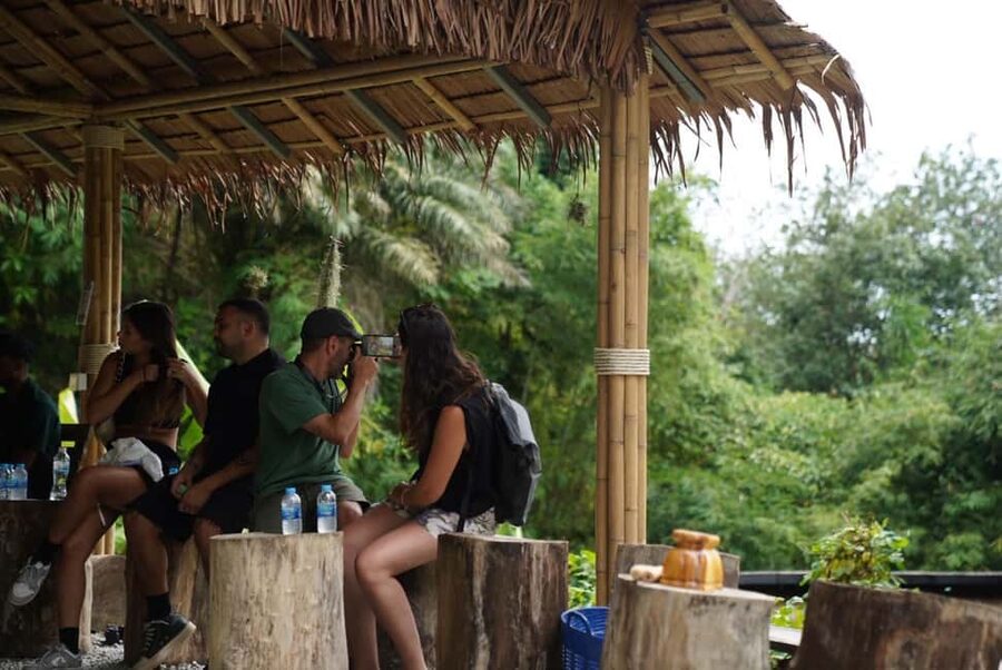 Phuket: Guided Tour to Elephant Sanctuary & Hotel Transfer - Elephants and timing: how a “45-minute” activity feels in real life