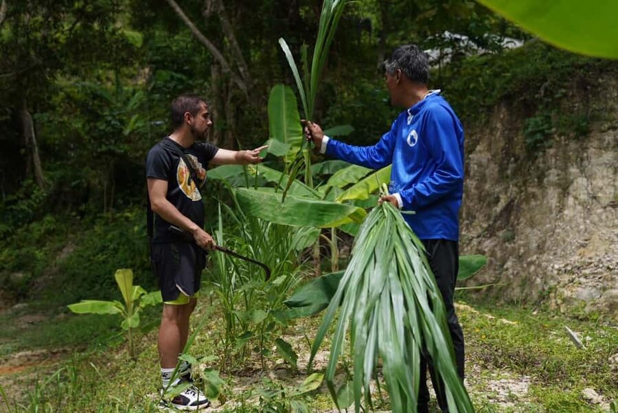 Phuket : Guided Tour to Elephant Sanctuary with Transfers - The forest walk: learning elephant behavior on foot