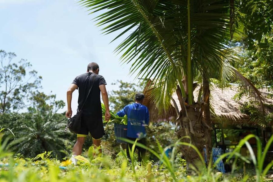 Phuket : Guided Tour to Elephant Sanctuary with Transfers - Food prep in the garden: banana trees and fresh grass feeding time