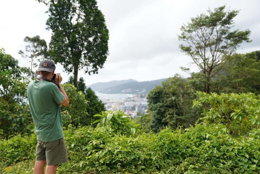 Phuket : Guided Tour to Elephant Sanctuary with Transfers - Who should book this elephant sanctuary walk in Phuket