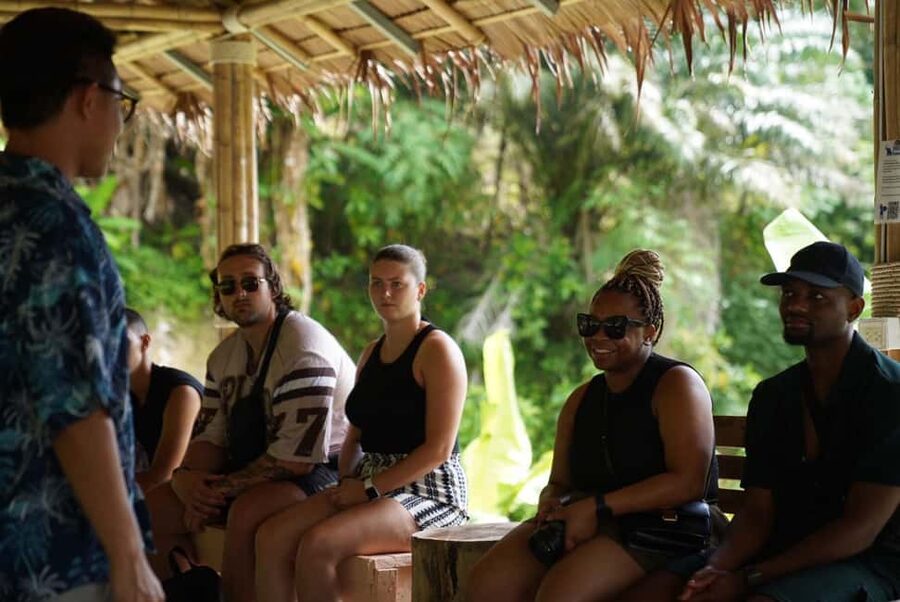 Phuket : Guided Tour to Elephant Sanctuary with Transfers - Transfers and timing: how the van ride shapes your day